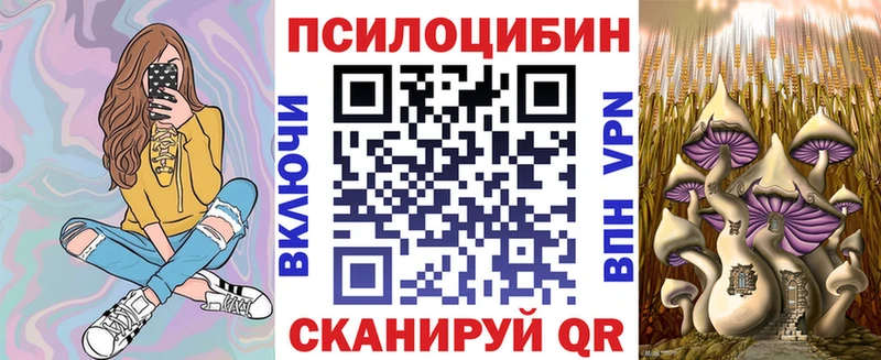 Галлюциногенные грибы Psilocybine cubensis  Купить  Александровское 